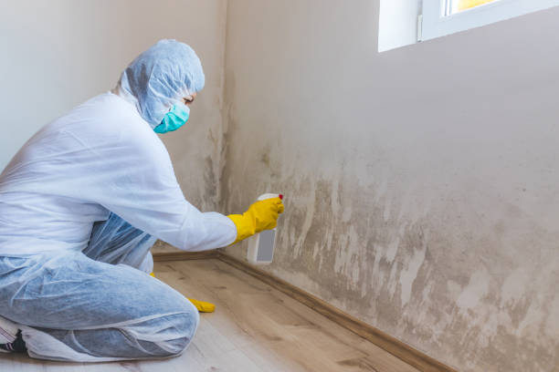 Licensed Mold Testing service in Mount Airy, MD - WQB Mold Removal