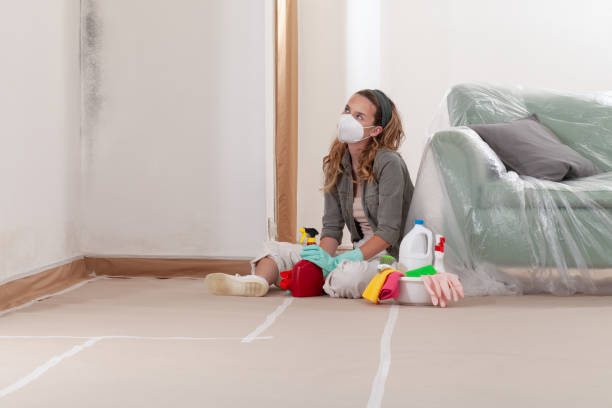 Reliable Mold Testing contractor in Mount Airy, MD by WQB Mold Removal